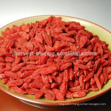 2016new crop goji berry wolfberry import goji ningxia